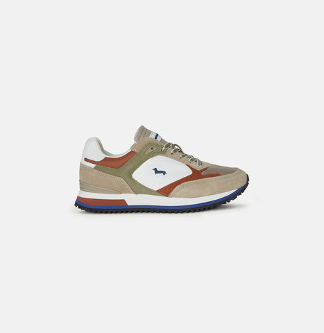 Tenis Harmont And Blaine de mezcla de materiales y colores