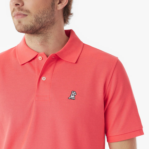 Polo James Bark Regular Fit en Piqué