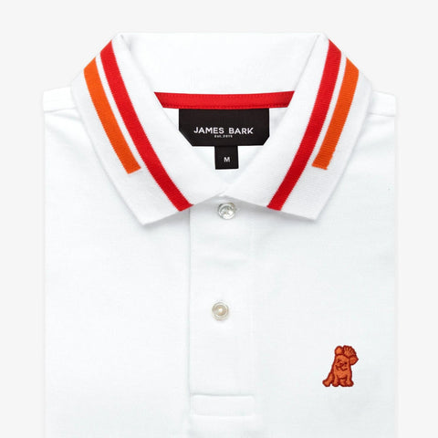 Polo De Hombre James Bark Mangas Larga Stripped Regular fit - tiendadicons.com